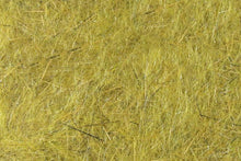 Load image into Gallery viewer, Golden Olive