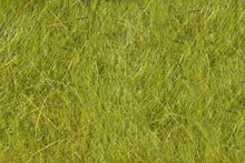 Load image into Gallery viewer, Blue Wing Olive