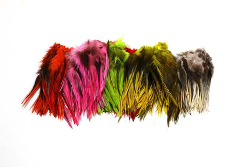Badger Hackle