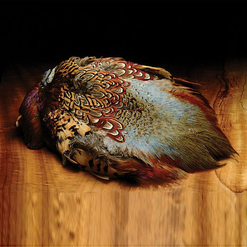 Ringneck Pheasant Skin - RPS