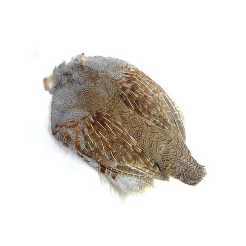 Hungarian Partridge Skin - 2HPS242