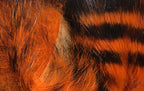 Tiger Barred 1/8 Rabbit Strips TSR