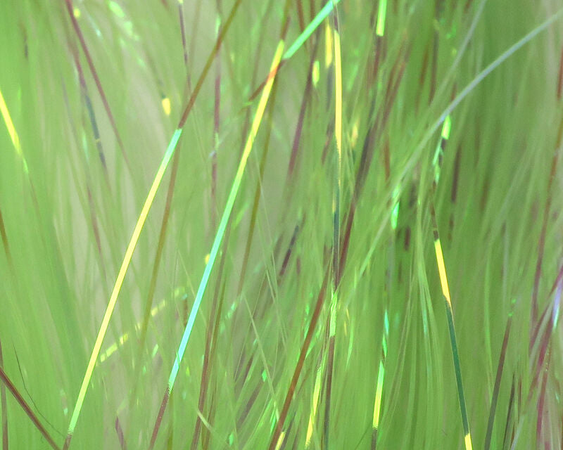 Dyed-Pearl Flashabou