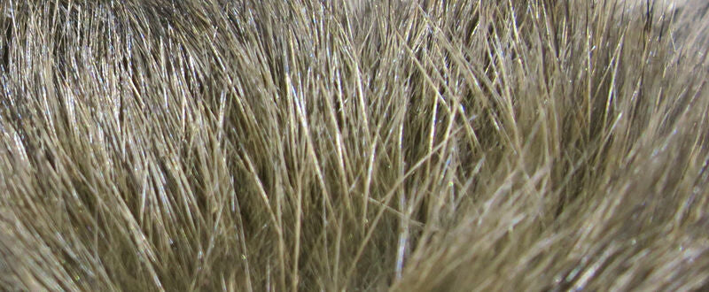 Dyed Hare's Mask- HMD