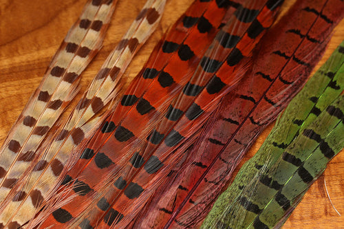 UV2 Ringneck Pheasant Tail - RPHT-UV