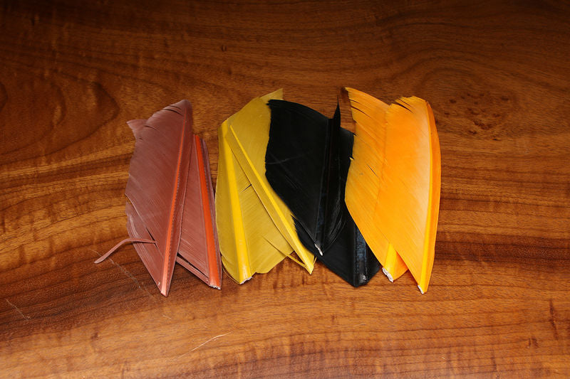 UV2 Turkey Biot - TBUV