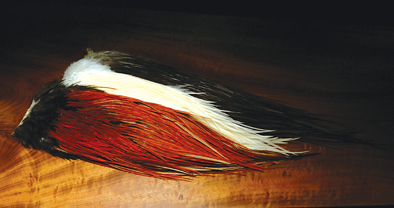 Metz #2 Saddles - 2METZ